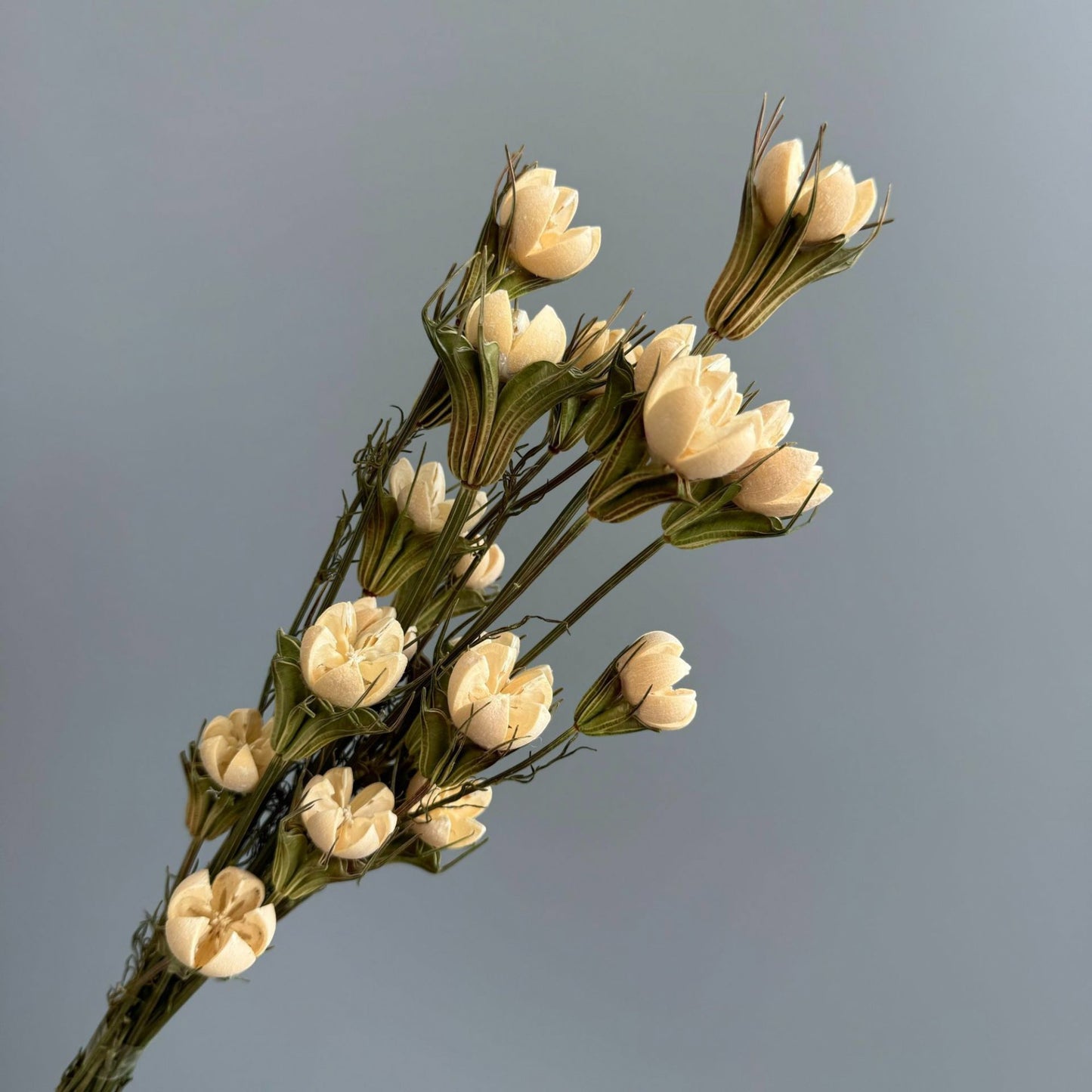 Alilang Decorative Dried Flower Stems for Home Decoration and Floral Arrangements