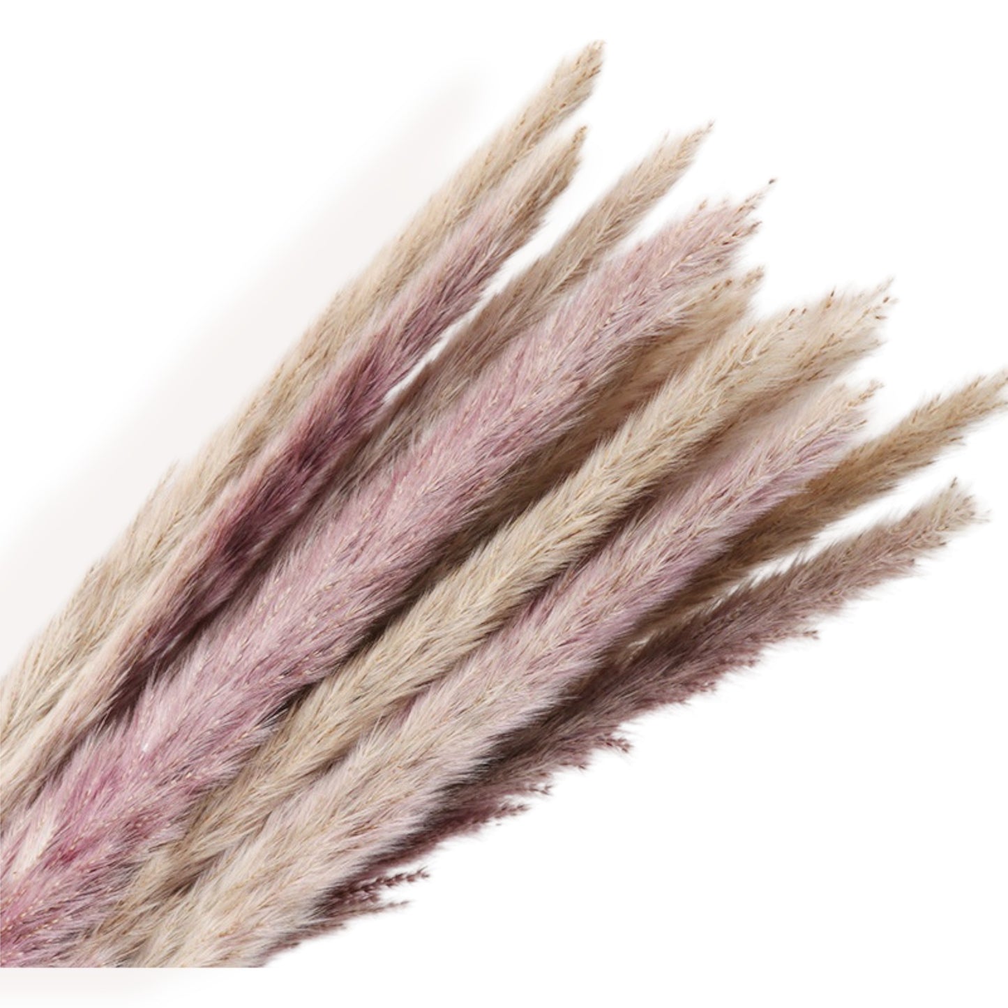 Alilang Decorative Dried Bouquet with Pinecone and Natural Grasses for Home Decoration