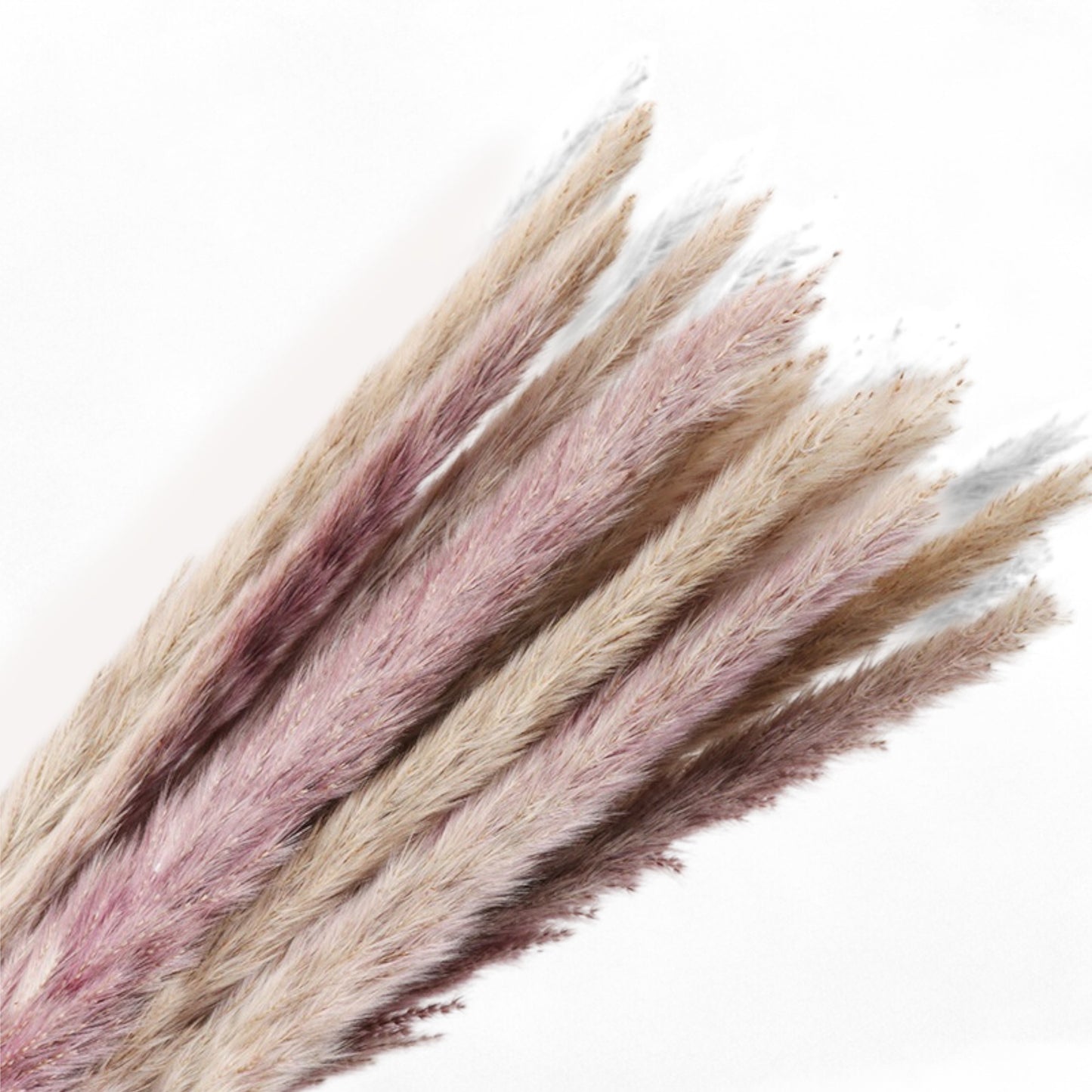 Alilang Decorative Dried Grass and Pampas Bouquet for Home Decoration and Centerpieces