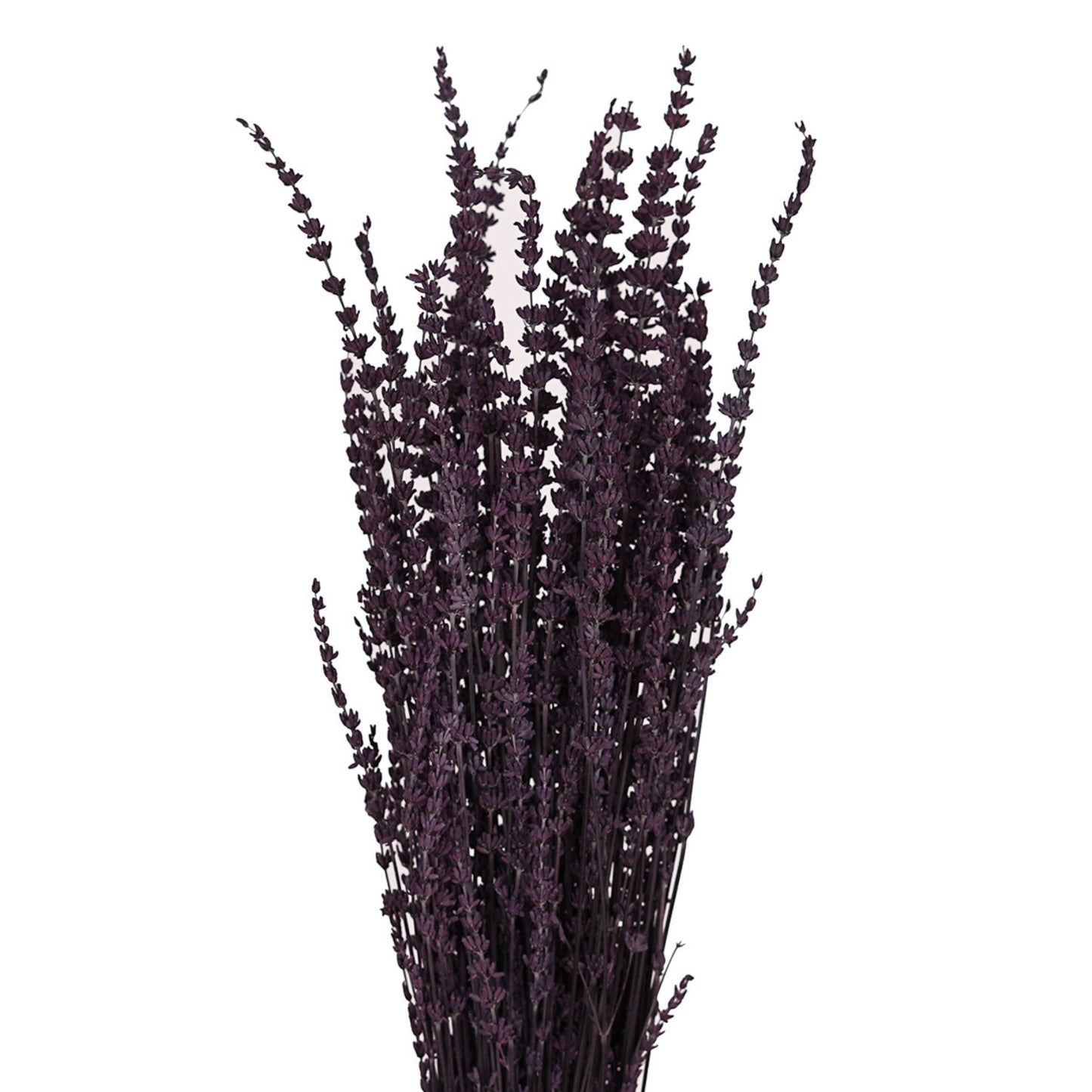 Alilang Decorative Dried Greenery Stems for Home Decoration and Floral Arrangements