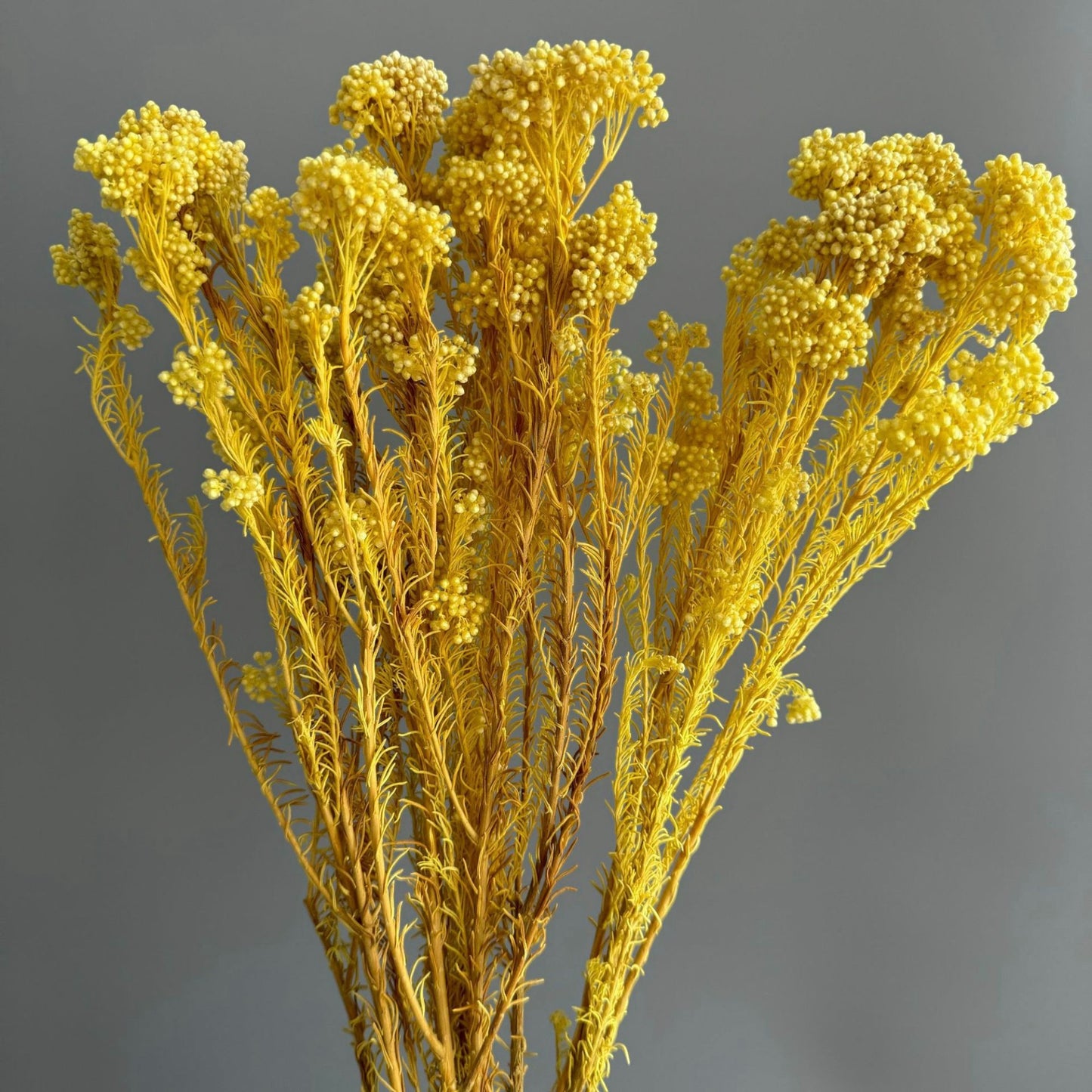 Alilang Decorative Dried Berry Stems for Home Decoration and Floral Arrangements