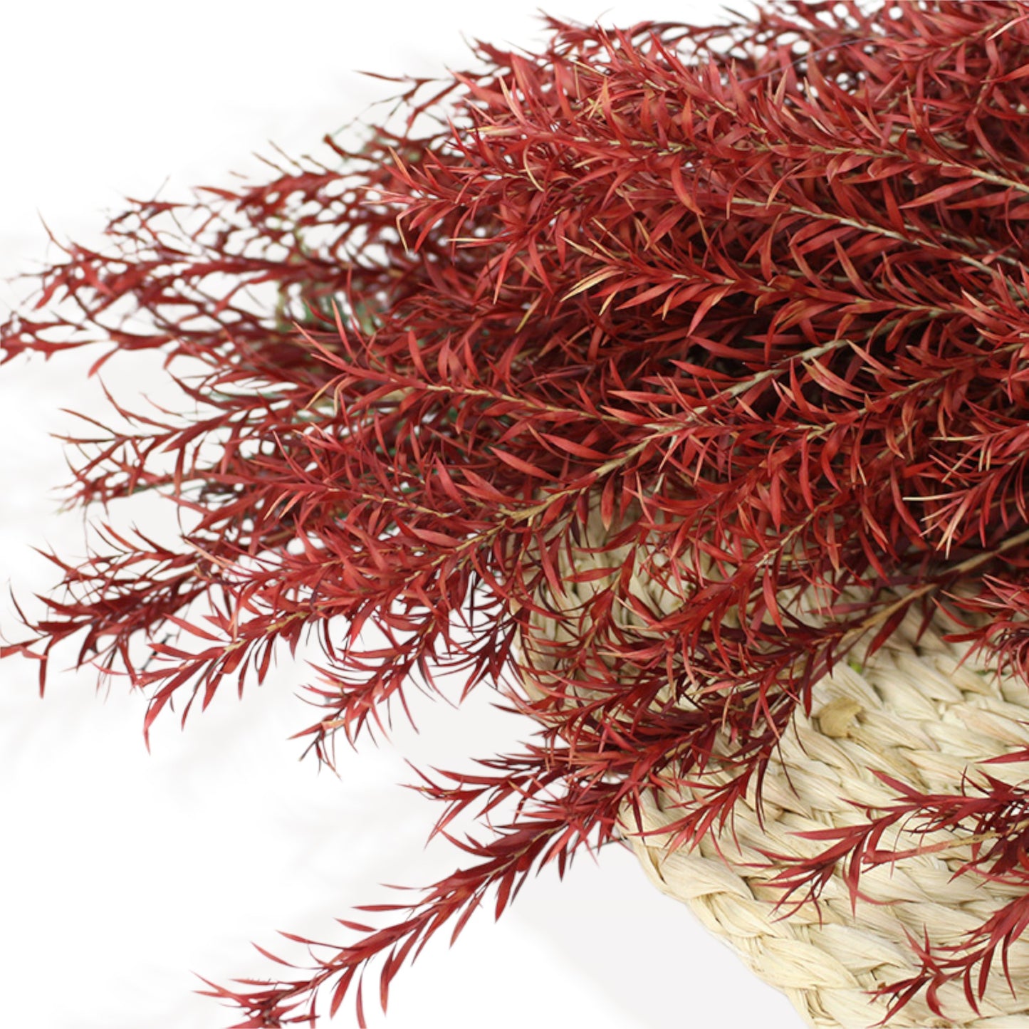 Alilang Dried Floral Bouquet with Pampas Grass, Eucalyptus, and Accents