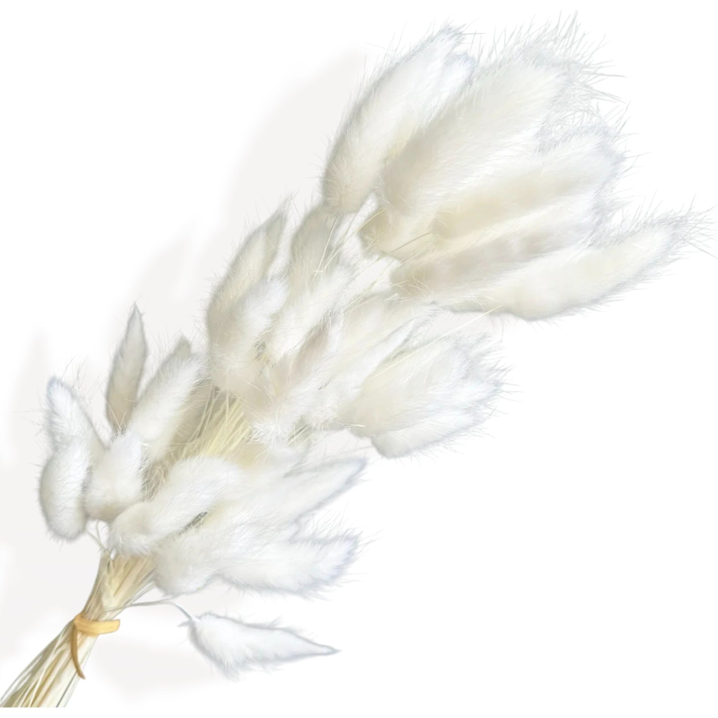 Alilang Dried Floral Arrangement with Pampas Grass, Eucalyptus, and Sunburst Accent