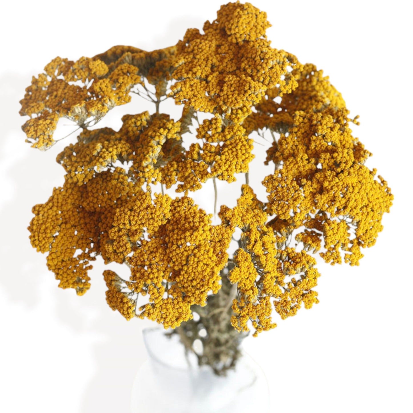 Alilang Vibrant Wildflower-Inspired Dried Flowers Floral Arrangement, 17.8 Inches