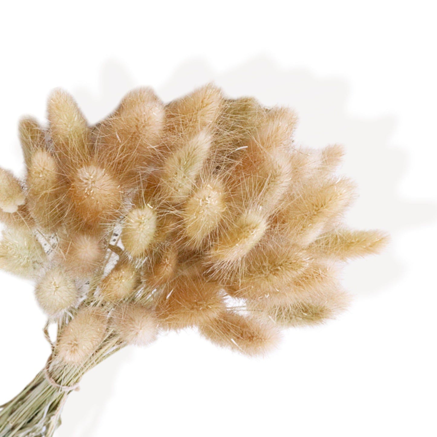 Alilang Elegant Dried Flowers Pampas and Eucalyptus Arrangement, 17.8 Inches