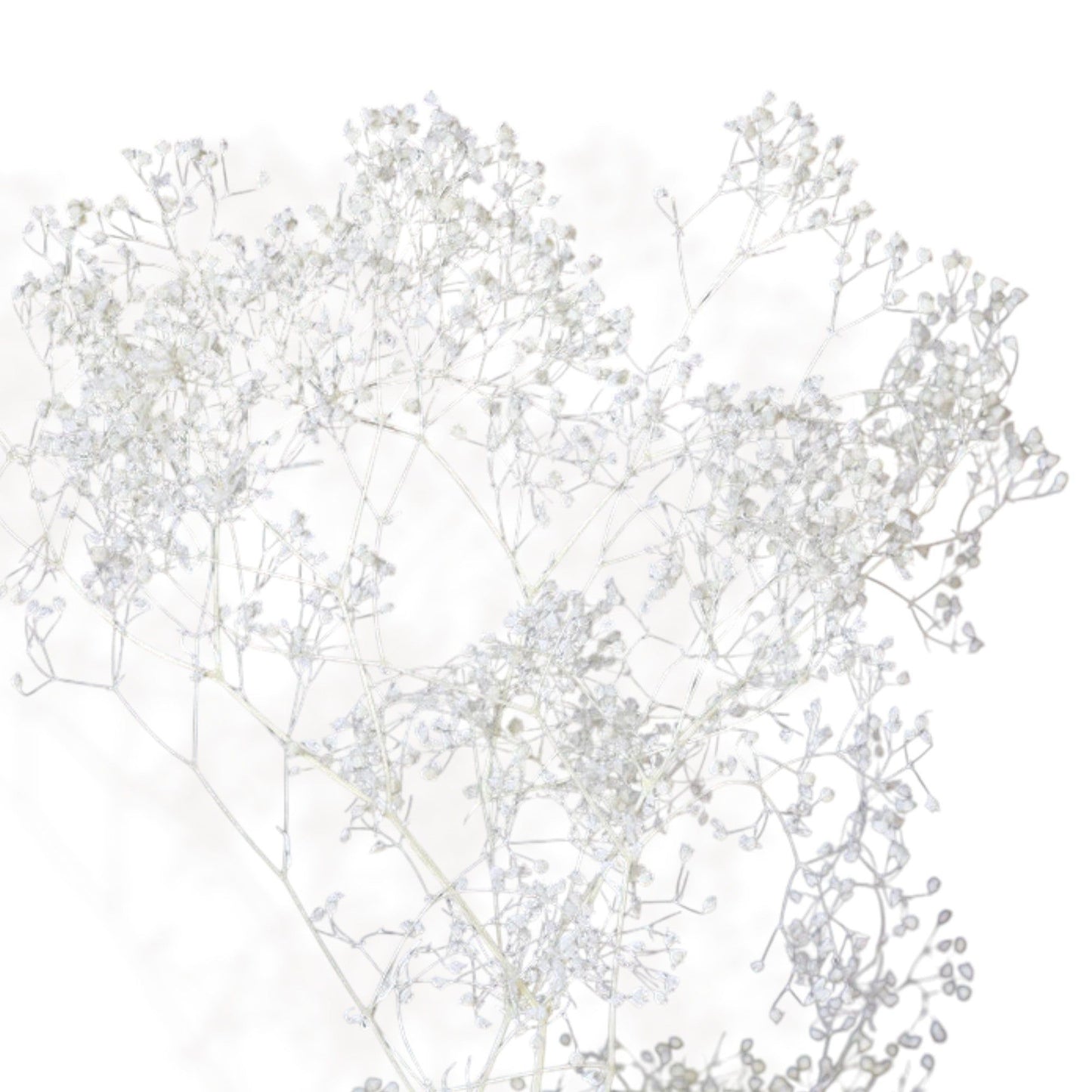 Alilang Vibrant Dried Flowers Mixed Floral Arrangement with Pink and Red Accents, 17.8 Inches