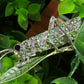 Peridot Green Insect Grasshopper Locust Leaf Big Pin Brooch