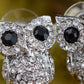Bird Owl Black Colored Stud Earrings
