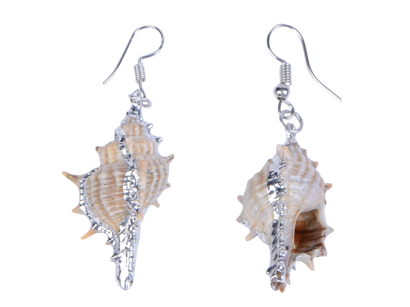 Multicolor Accent Ocean Seashell Couch Mermaid Sea Witch Drop Dangle Earrings