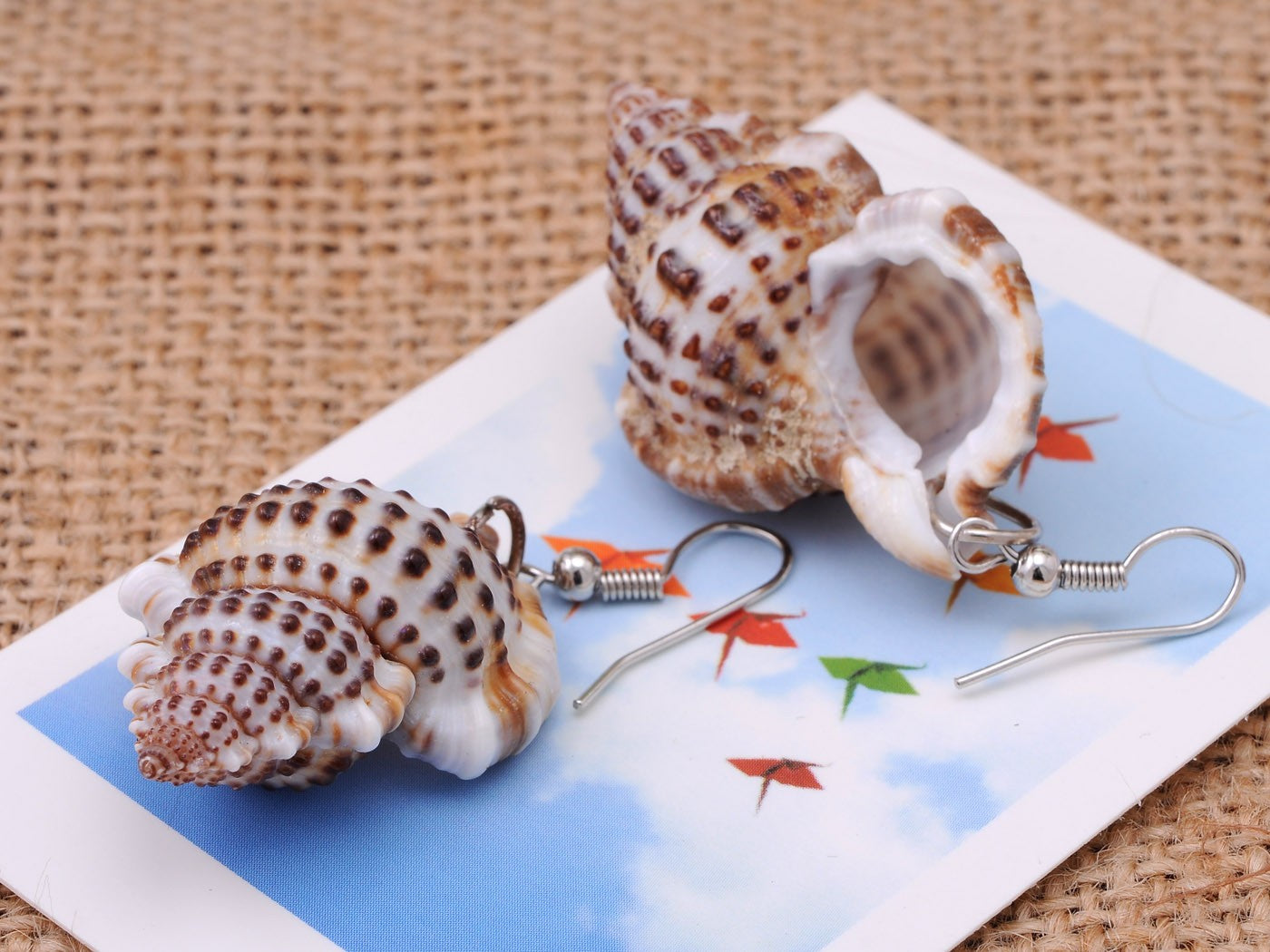 Multicolor Accent Ocean Seashell Couch Mermaid Sea Witch Drop Dangle Earrings