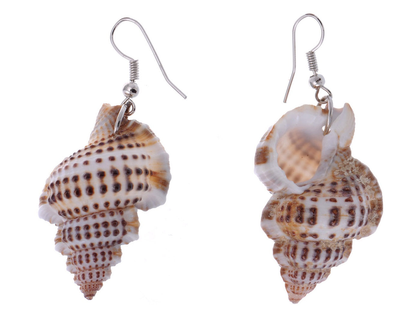 Multicolor Accent Ocean Seashell Couch Mermaid Sea Witch Drop Dangle Earrings