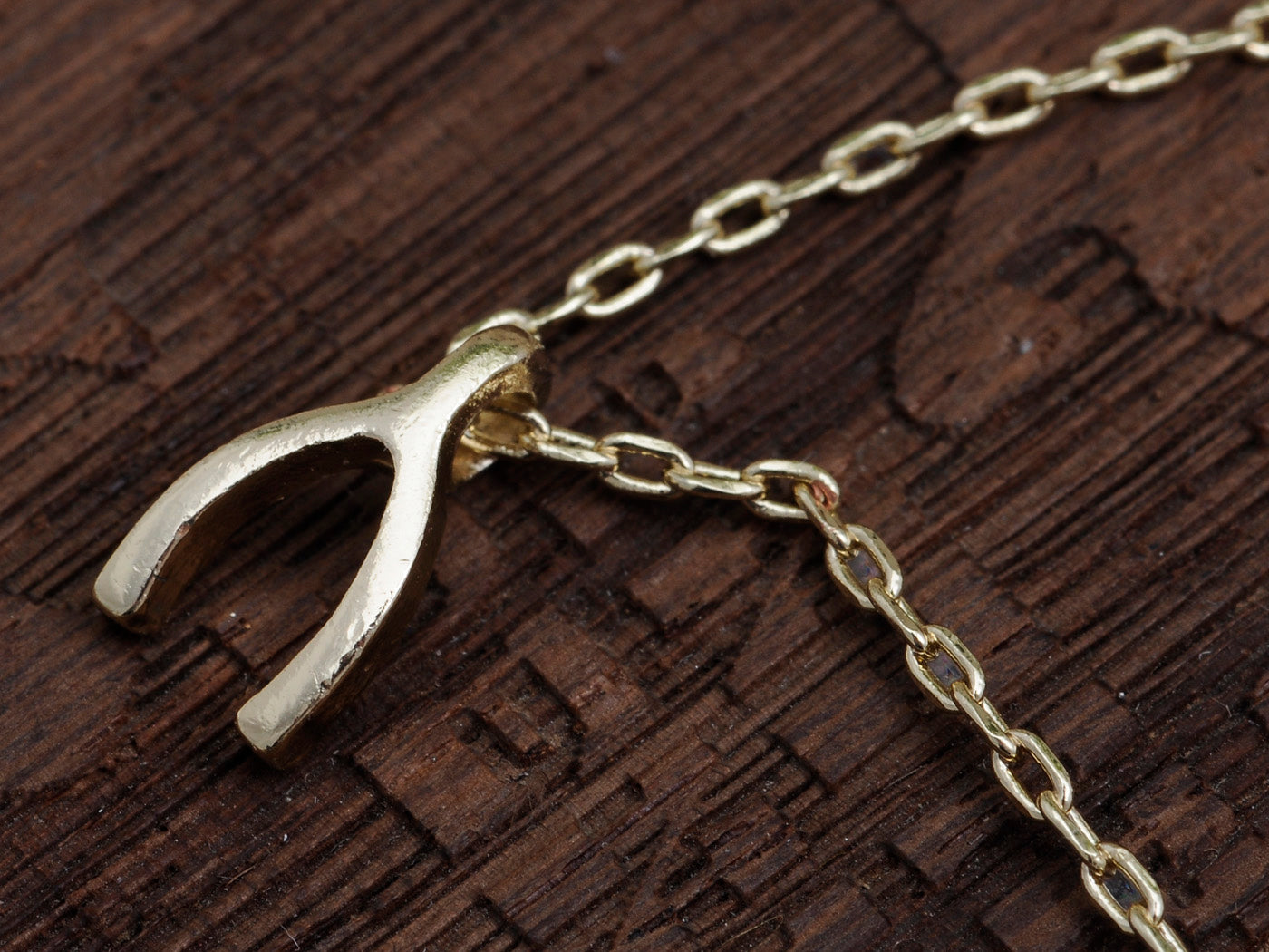 Lucky Charm Wishbone Pendant Necklace