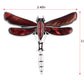 Alilang Natural Abalone Shell Silver Tone Alloy Dragonfly Insect Versatile Fashion Brooch Pin