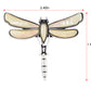 Alilang Natural Abalone Shell Silver Tone Alloy Dragonfly Insect Versatile Fashion Brooch Pin