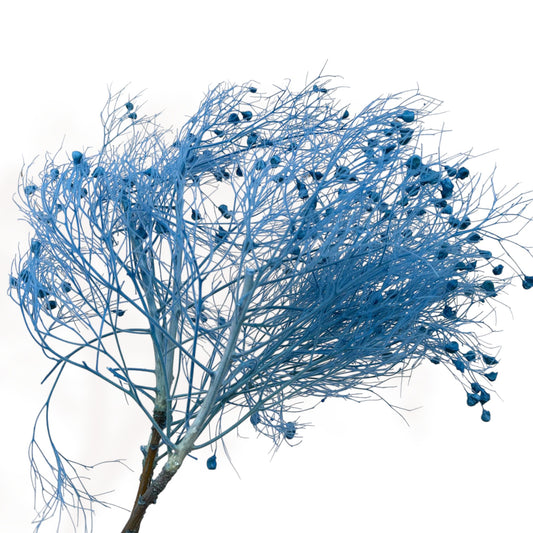 Alilang Decorative Dried Ming Fern Stems for Elegant Home Decoration and Creative Floral Arrangements