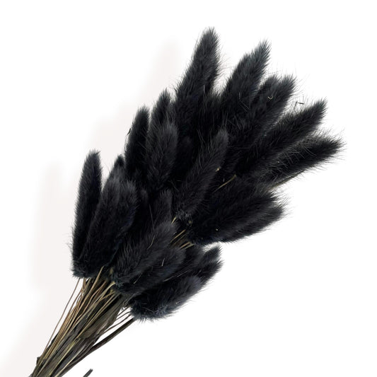Alilang Dried Bunny Tail Grass Stems for Modern Home Decoration and Floral Arrangements