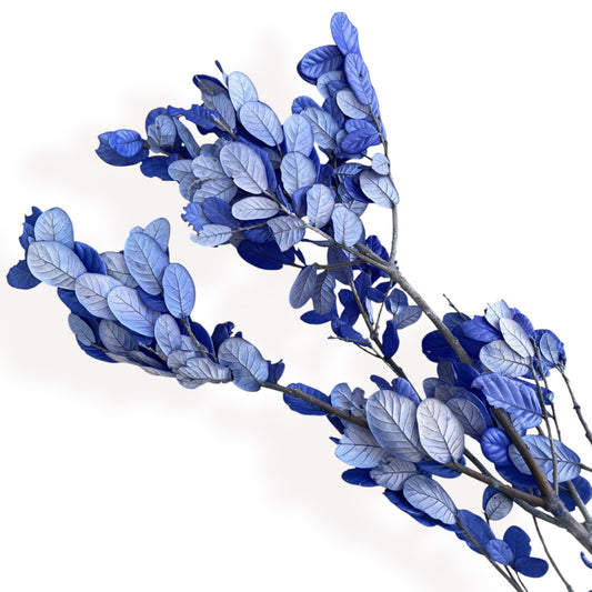 Alilang Decorative Dried Leafy Branches for Modern Home Decoration and Floral Arrangements