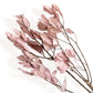 Alilang Decorative Dried Leafy Branches for Modern Home Decoration and Floral Arrangements
