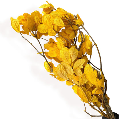 Alilang Decorative Dried Leafy Branches for Modern Home Decoration and Floral Arrangements