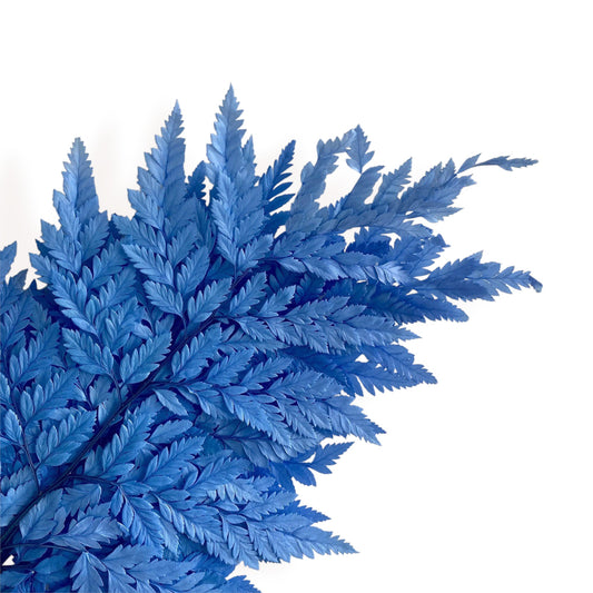 Alilang Decorative Dried Fern Leaves for Home Decoration and Floral Arrangements