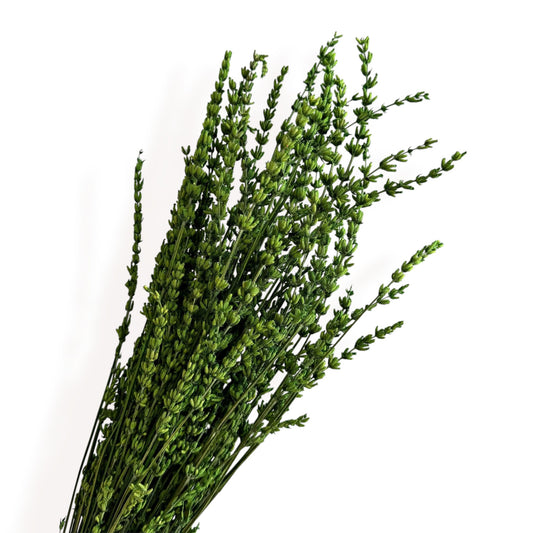 Alilang Decorative Dried Greenery Stems for Home Decoration and Floral Arrangements