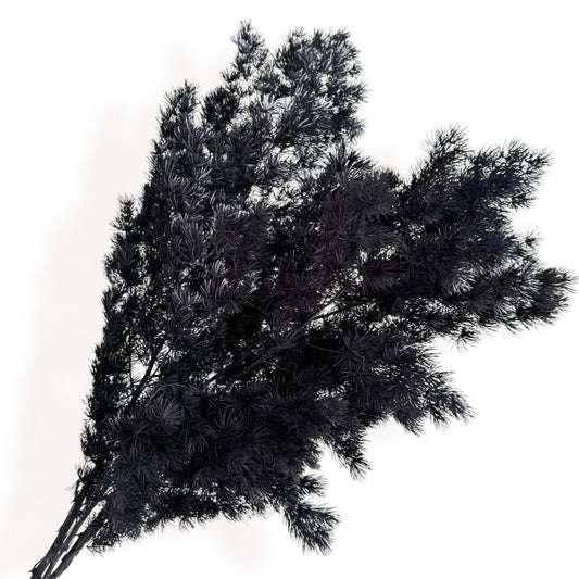 Alilang Decorative Dried Fine Leaf Stems for Home Decoration and Floral Arrangements