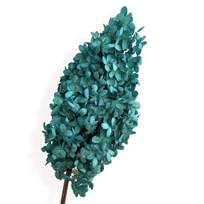 Alilang Decorative Dried Hydrangea Blooms for Home Decoration and Floral Arrangements
