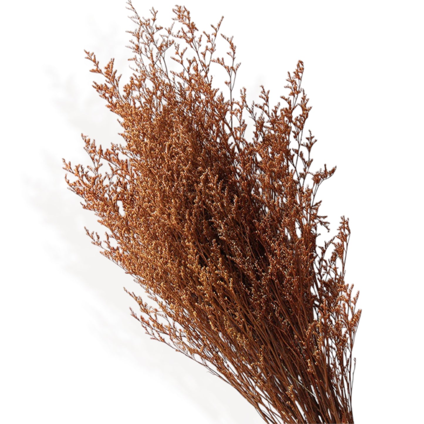 Alilang Neutral Dried Floral Arrangement with Pampas Grass and Preserved Leaves