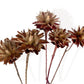 Alilang Neutral Dried Floral Arrangement with Pampas Grass and Preserved Leaves