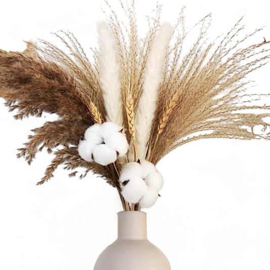 Alilang Pampas Grass and Cotton Dried Floral Arrangement with Wheat Accents, 17.5 Inches