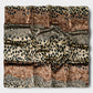 Anna-Kaci Women's Square Satin Scarf with Mixed Animal Print Pattern and Lightweight Silky Texture