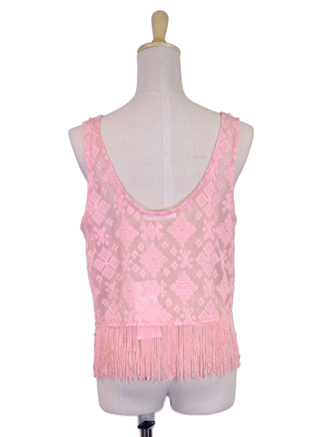 Lush Pink Fringe Detailed Trimming Mesh Lace Strapless Embroidered Crop Top - ALILANG.COM