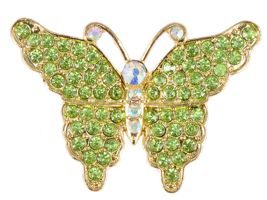 Green And White Embellished Butterfly Pin Brooch