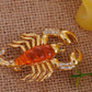 Scorching Desert King Insect Scorpion Pin Brooch