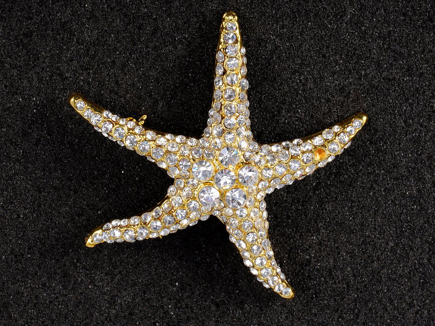 Colored Sea Starfish Brooch Pin