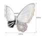 Alilang Seashell Sparkling Zircon Crystal Rhinestone Winged Butterfly Brooch Pin