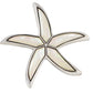 Alilang Silver Tone Abalone Shell Starfish Sea Star Animal Brooch Pin & Pendant