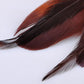 Sepia Two Level Pheasant Feather Tribal Element Earrings