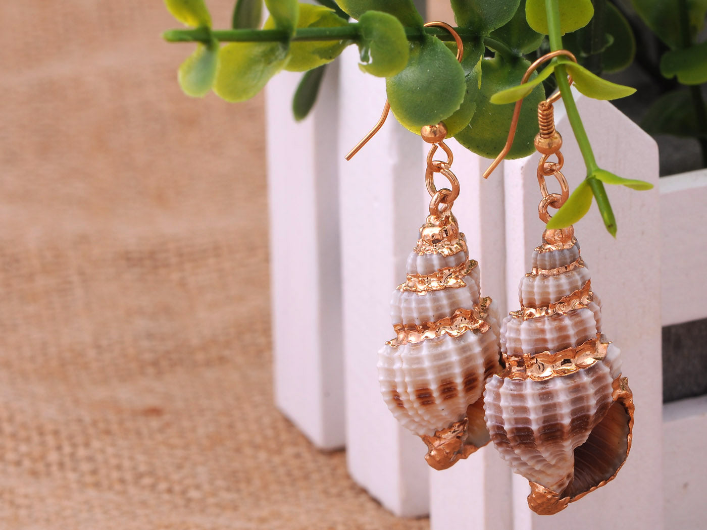 Multicolor Accent Ocean Seashell Couch Mermaid Sea Witch Drop Dangle Earrings