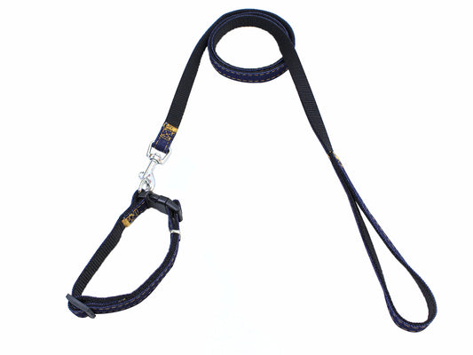 Dog Leash & Body Harness Leash