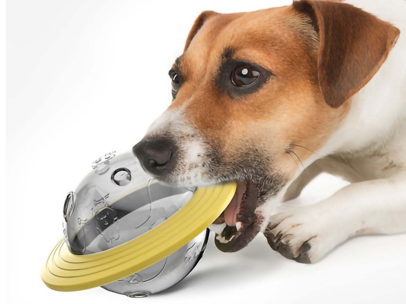 Pet Cat Dog Puzzle Fun Tumbler Leaking Food Ball leaker Toys