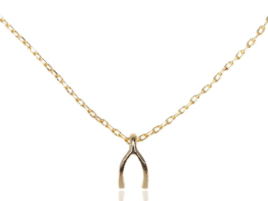 Lucky Charm Wishbone Pendant Necklace