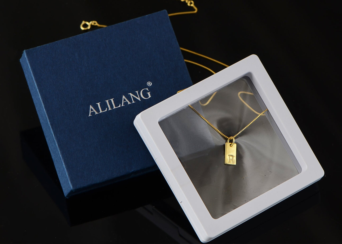 Alilang R Initial Necklaces for Women 925 Silver with 14k Gold Plated Letter R Necklace Girls Dainty Gold Tag Pendant Necklaces Choker